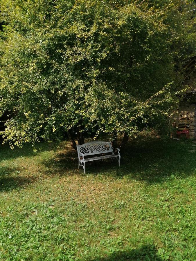 A Casa Di Anna Bed and Breakfast Cortemilia Εξωτερικό φωτογραφία